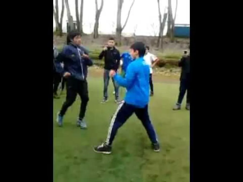 pelea