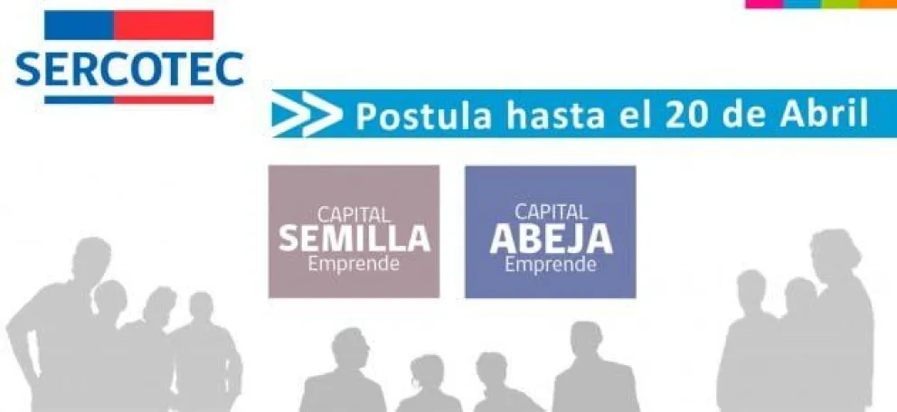 capital abeja