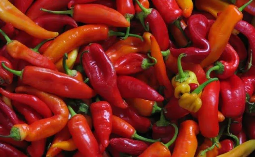 aji