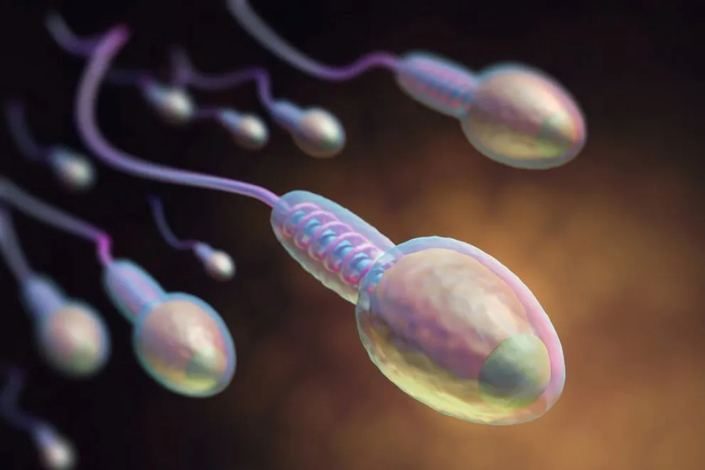 Espermatozoides-Laboratorio