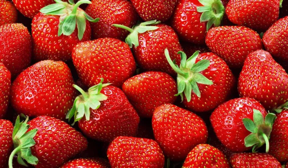 lasfresas