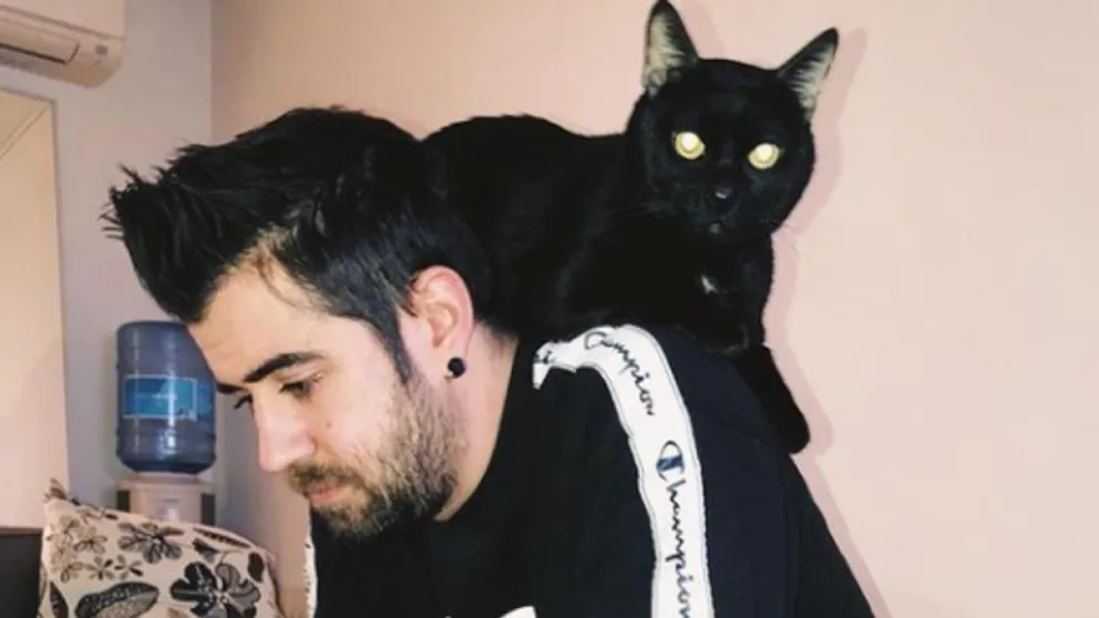 don-gato
