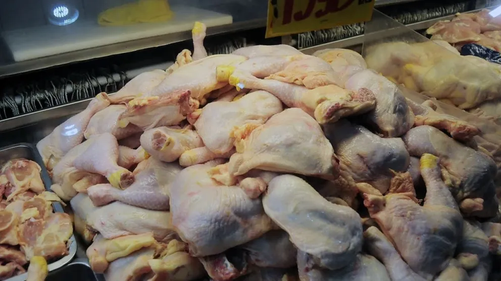pollo
