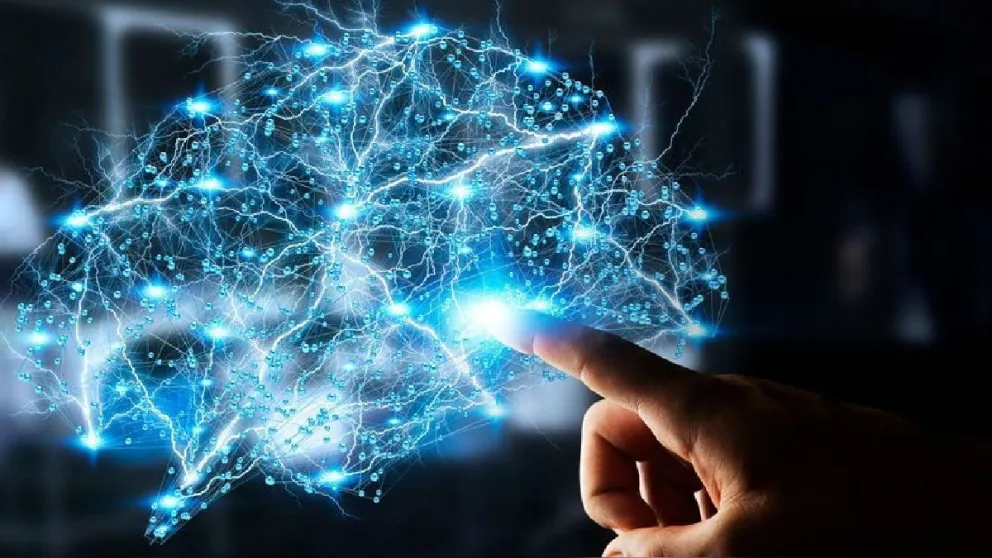 neuroderechos