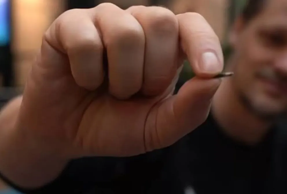 microchip