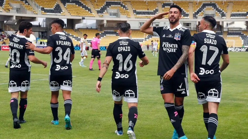 Gato_lucero