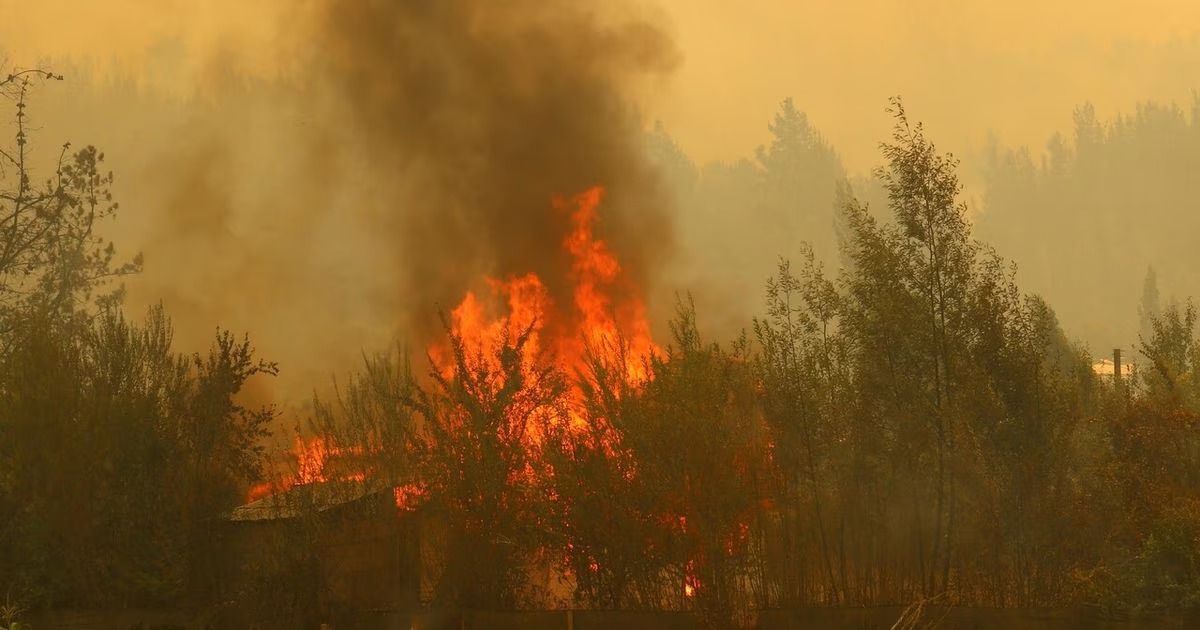 incendios forestales