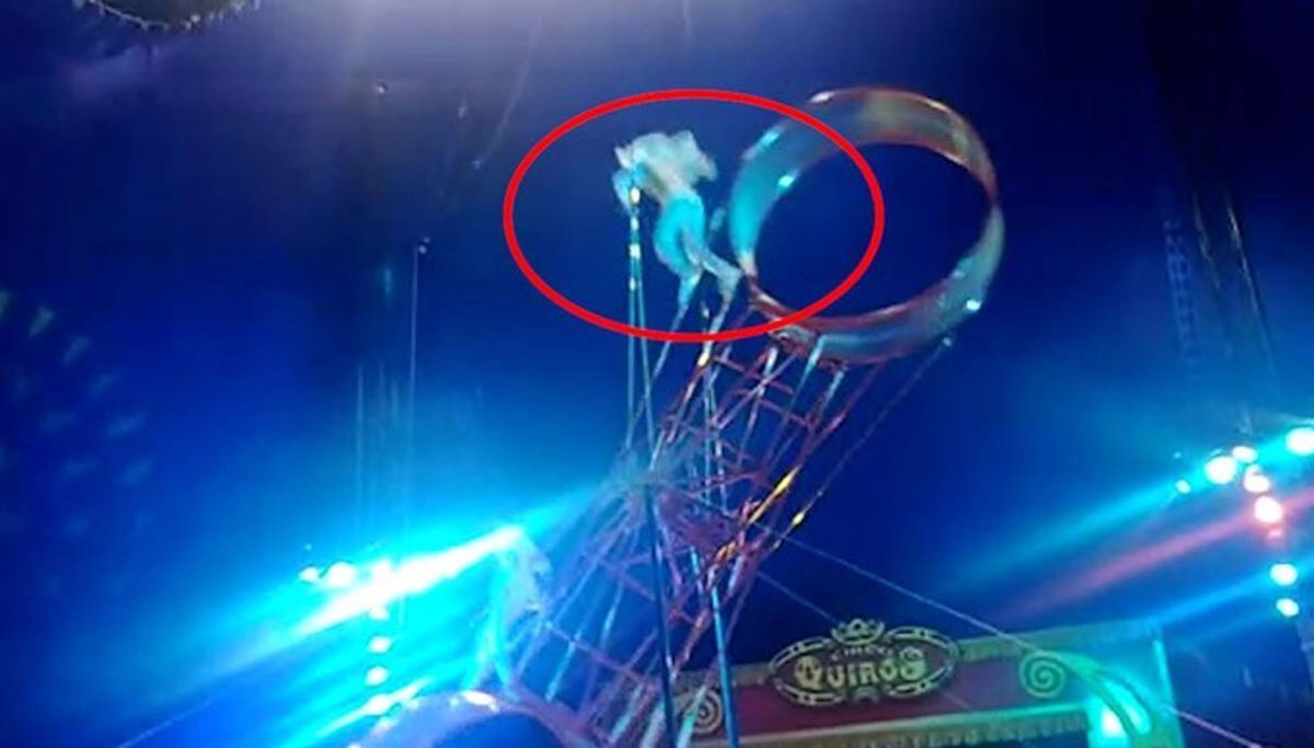 Trapecista