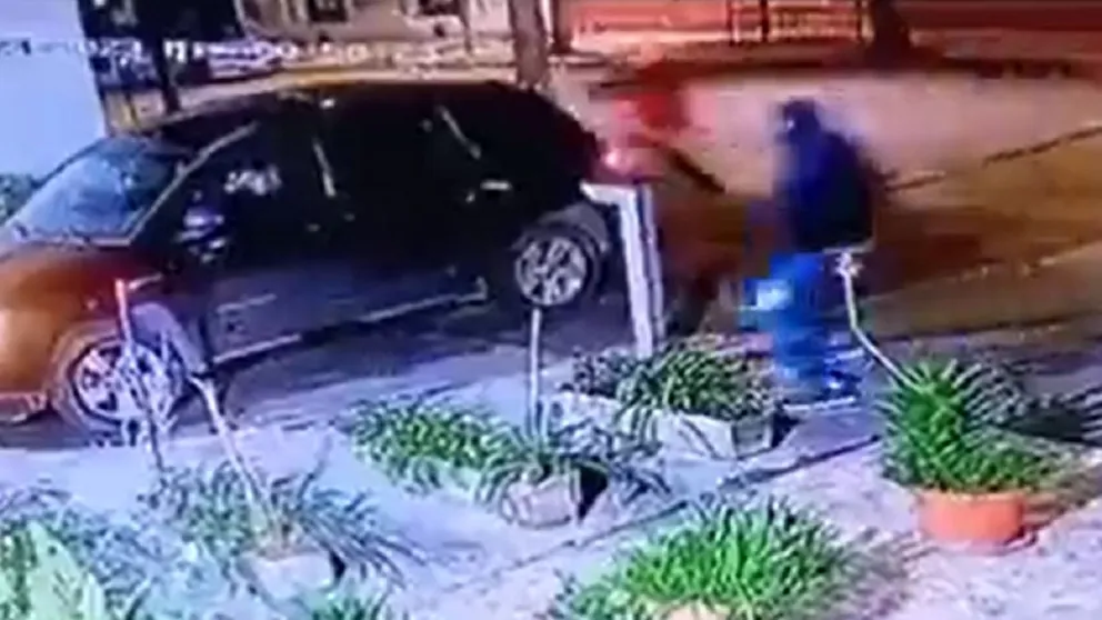 portonazi