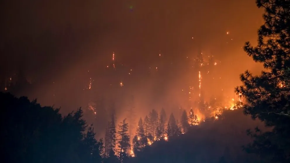 incendios forestales