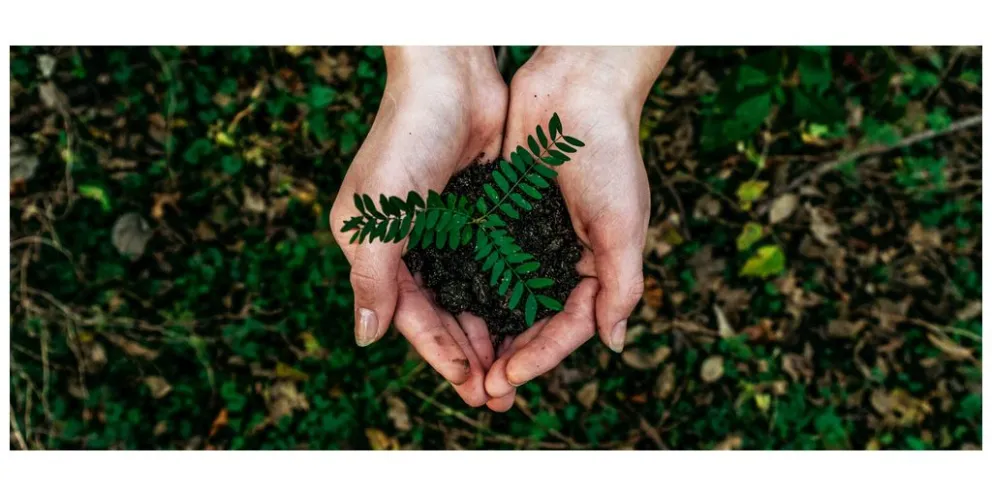 news-sustainability-v2