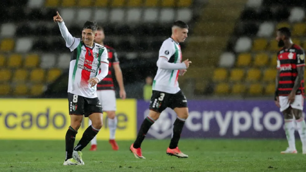 palestino