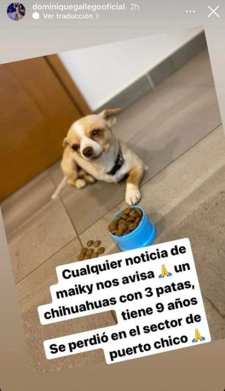 Gallego