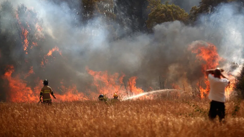 Incendio forestales se desataron este domingo en la región del Biobío